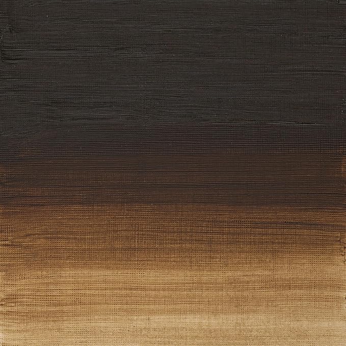 Winsor & Newton Artists' Oil Paint, 37ml Tube, Raw Umber