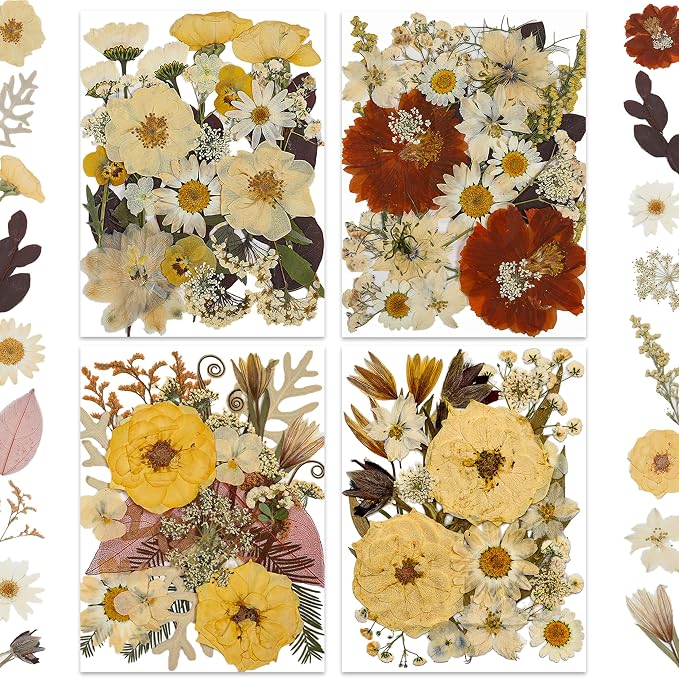 LUXEEASE 100P Vintage Warm Tone Dried Pressed Flowers