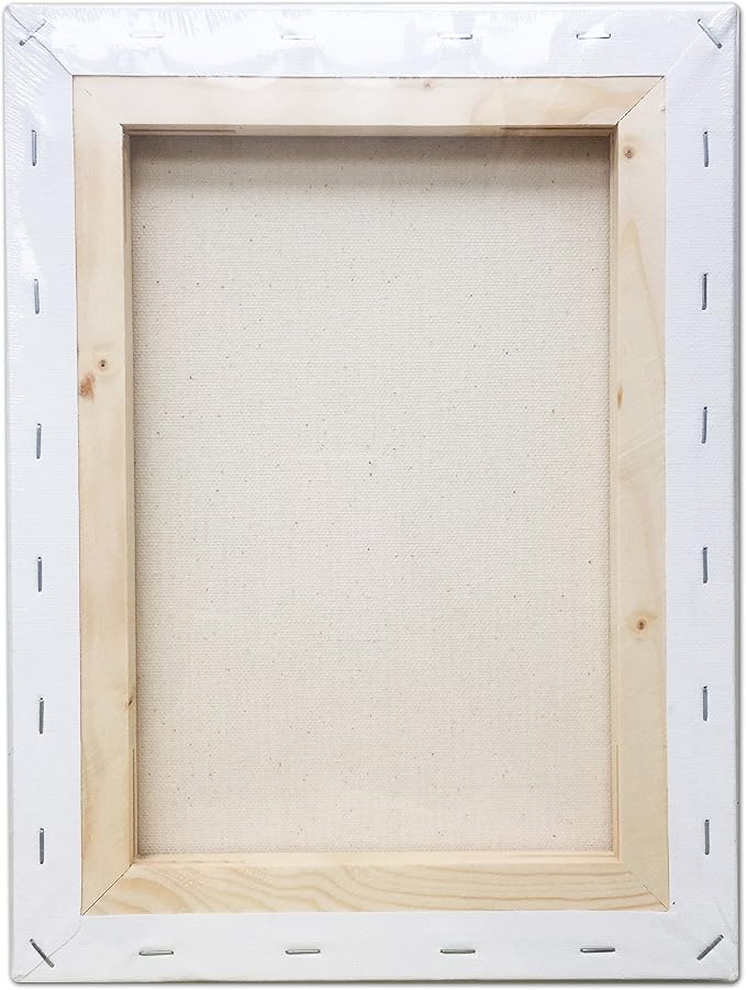 LWR CRAFTS Stretched Canvas 8" X 10" Pack of 6