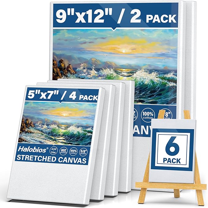 Halobios 6 Packs Stretched Canvases for Painting with 5x7in,9x12in Canvas, Blank Canvases for Acrylics, Oils & Other Painting Media, 5/8 Inch Profile 100% Cotton Artist Framed Canvas