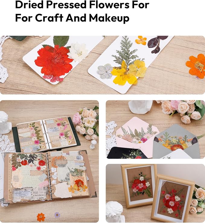 Dried Flowers, Resiners 100Pcs Pressed Flowers for Craft Baby Pink Real Natural Dried Flowers Dry Leaves Kit for DIY Making Crafts Resin Soap Candle Scrapbook Supplies Card Making Jewelry