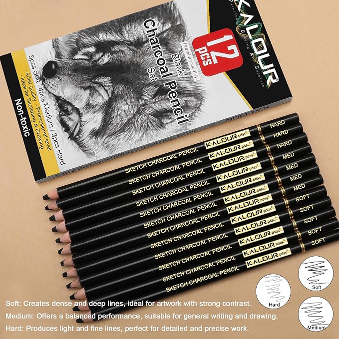 KALOUR Professional Charcoal Pencils Drawing Set -12 Pieces Soft, Medium and Hard Charcoal Pencils for Drawing, Sketching, Shading, Artist Pencils for Beginners & Artists