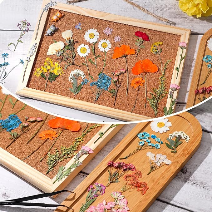 Nuanchu Real Dried Pressed Flowers Wildflower Stem for Resin Mold Craft DIY