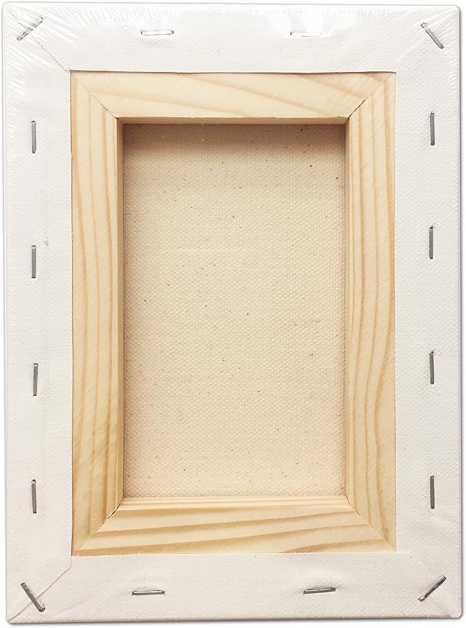 LWR CRAFTS Stretched Canvas 6" X 8" Pack of 6