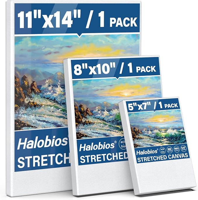 Halobios Stretched Canvases for Painting with 11x14 Inch, 5x7 Inch, 8x10, Painting Canvas for Acrylics,Oils & Other Painting Media, 5/8 Inch Profile 100% Cotton Artist Framed Canvas(3 Packs)