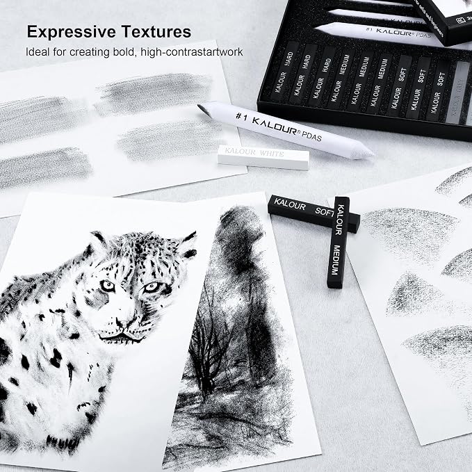 KALOUR 15 Pro Compressed Charcoal Drawing Set with Blending Stumps- Soft,Medium,Hard and White Charcoal - Charcoal Sticks for Drawing Sketching Shading - Art Supplies for Artists Beginners Adults