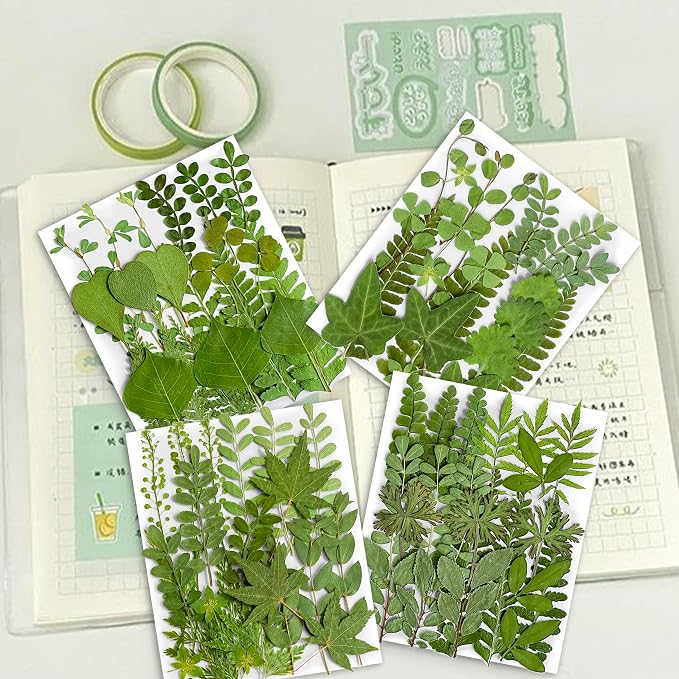 85PCS Real Green Dried Pressed Leaf Leaves, 28 Styles Greeny Mixed