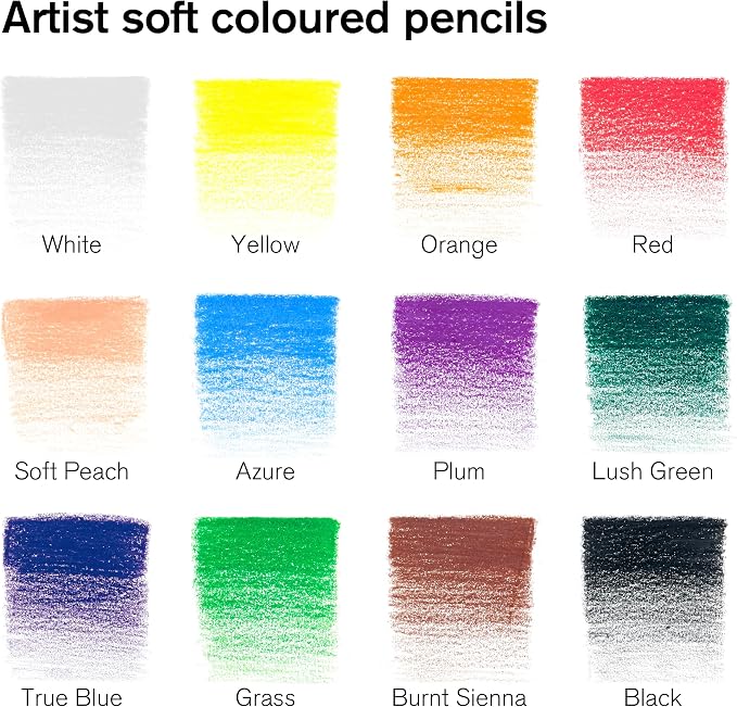 Winsor & Newton Studio Collection, Color Pencils, Set of 12 | Rich, Vibrant Color, Thick-Core Pencils, Soft Smooth Texture, Easy Blending, Stylish Metal Tin Included, High Quality Lead