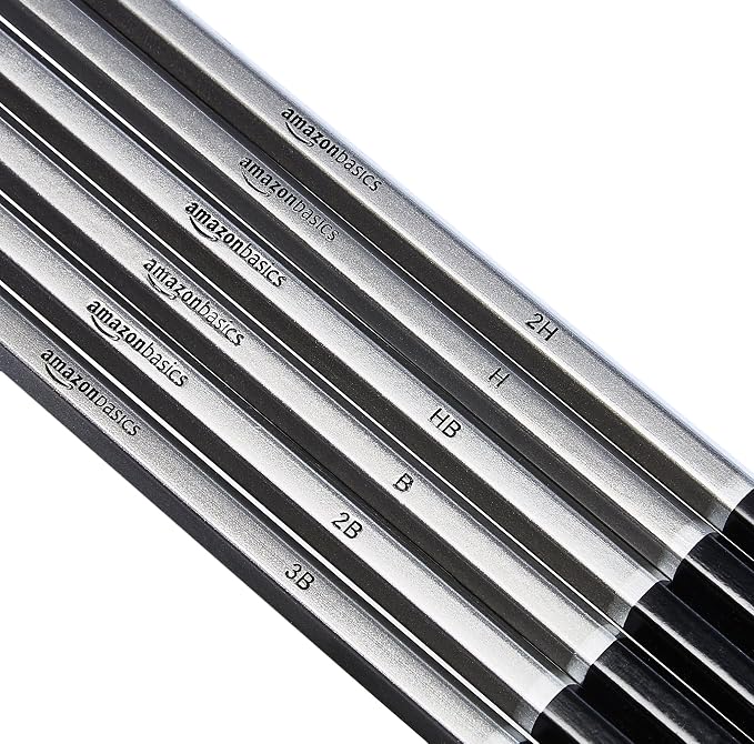 Amazon Basics Sketch and Drawing Art Supply Kit, 17-Piece, Charcoal and Pencil Set, Black, White