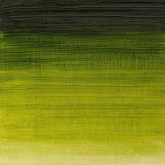 Winsor & Newton Winton Oil Color, 37ml Tube, Sap Green | High-quality pigments, Durable, Lightfast, Permanent, Uniform Consistency, Great Pigment Load