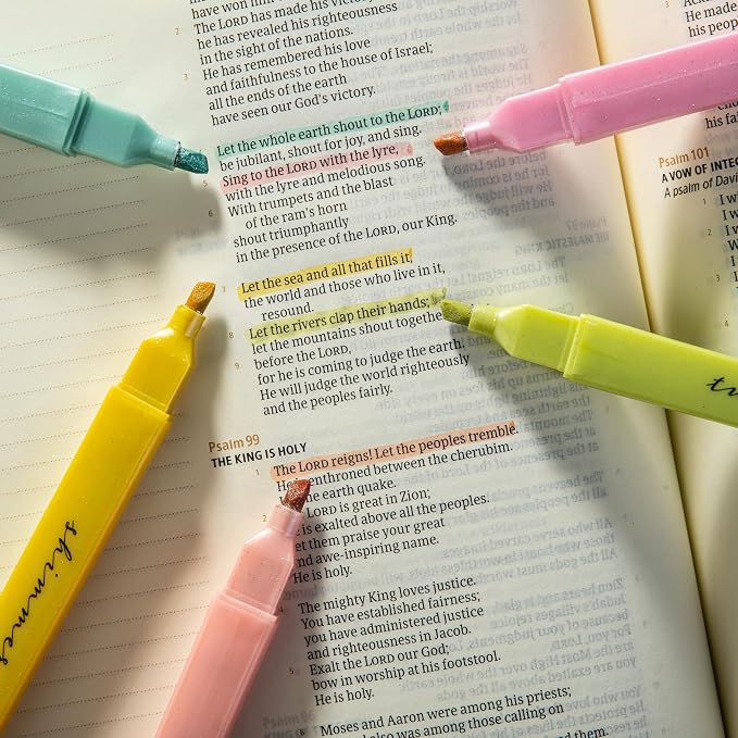 DIVERSEBEE Glitter Bible Highlighters with Soft Chisel Tip (Sunshine)