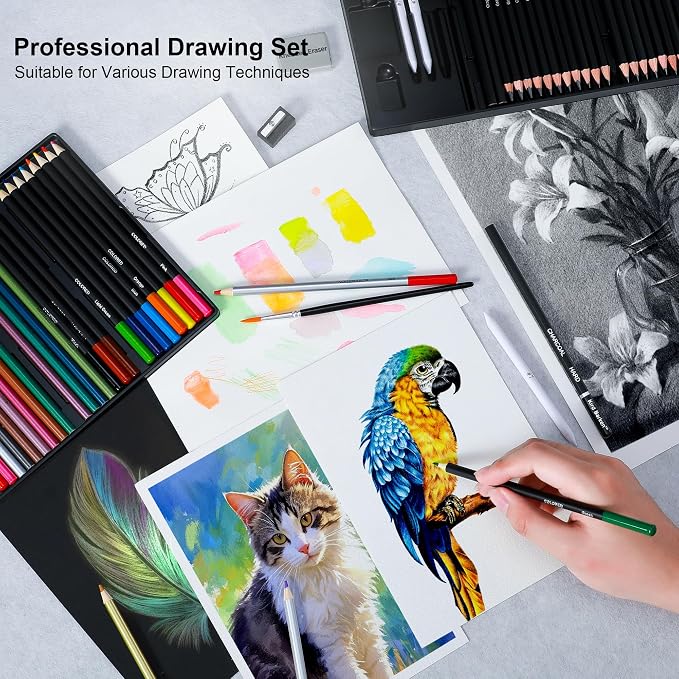 70 PCS Art Supply Drawing Set, Pro Art Supplies with Tutorial,Colored, Graphite, Charcoal, Watercolor & Metallic Pencil, for Artists Adults Teens Beginner