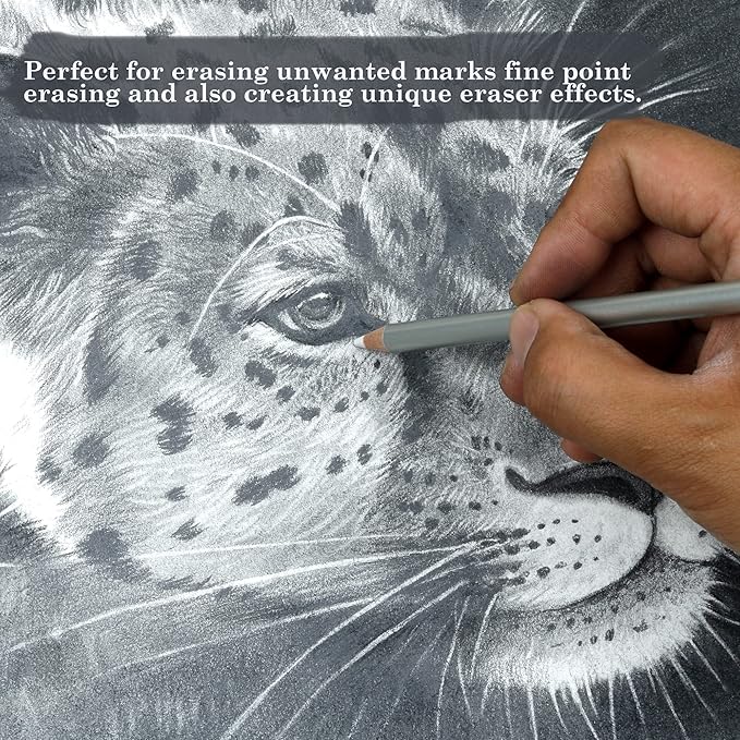 KALOUR Detail Eraser Pencil - 6pc Pencils with Brush and 2pc Sharpener,Erasing Small Details or add Highlights for Sketching, Charcoal Drawings. Fine Detail Eraser for Beginners & Artists