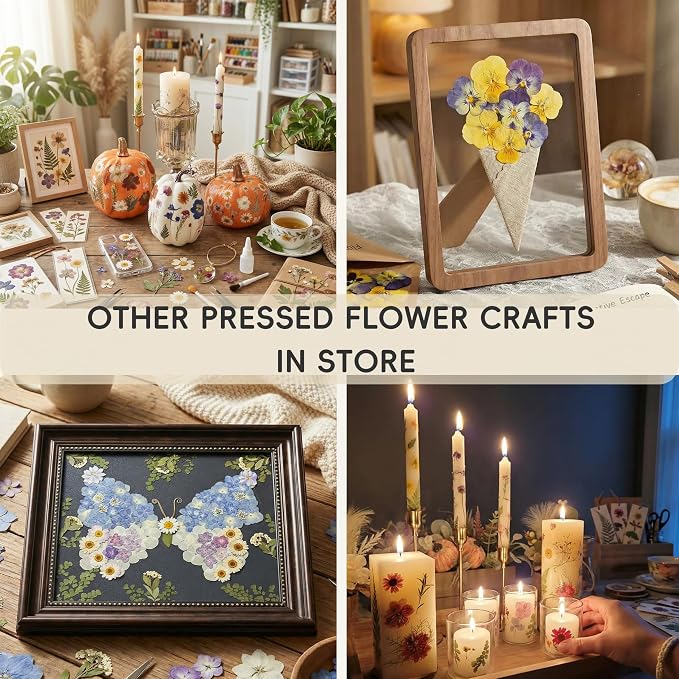 LUXEEASE 4-Color 80P Natural Dried Pressed Flowers