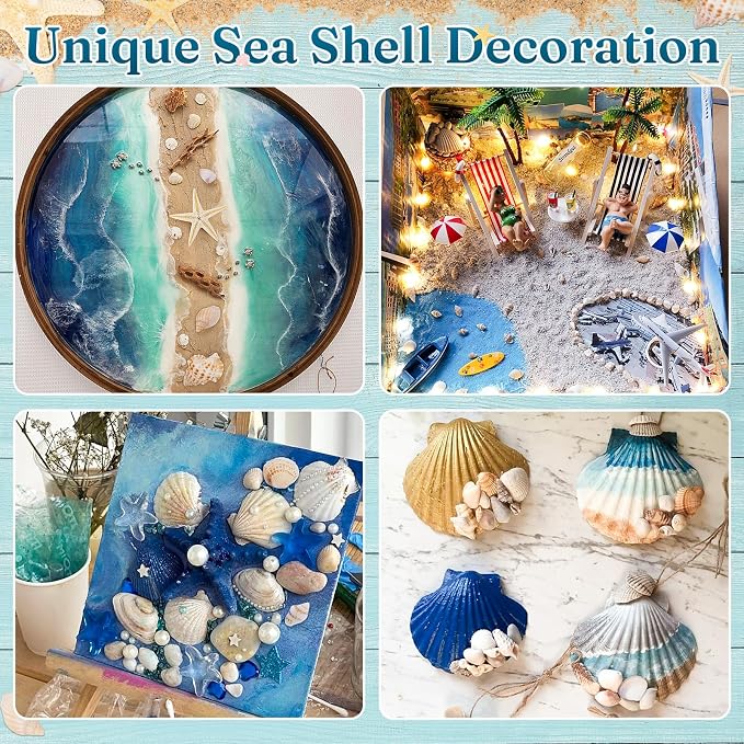 Zefy 23 Types Small Sea Shells for Crafts, 1200 Pcs Tiny Seashells | Shells with Mixed Size Starfish, Mini Shells for Vase Filler Beach Theme Party Home Decor