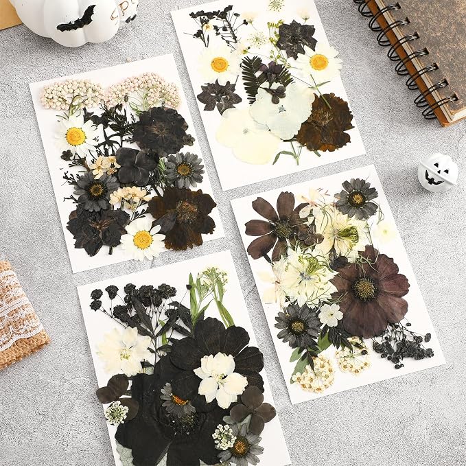 Augshy 72Pcs Black Pressed Flowers for Crafts Halloween Dried Flowers Bulk