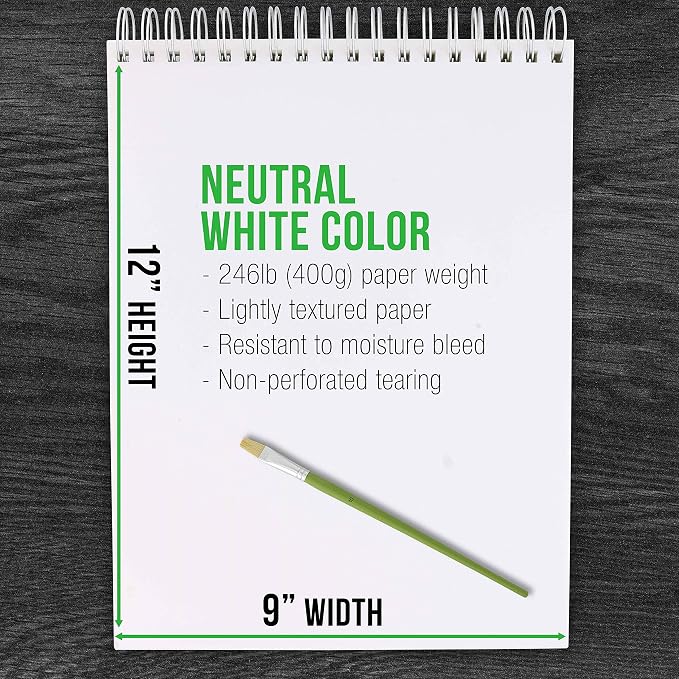U.S. Art Supply 9x12 Premium Heavy-Weight Acrylic Painting Paper Pad | 246lb (400gsm), 2 Pack, 12 Sheets, Spiral Bound, for Acrylic Paint