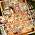 Camping PET Tapes Set, 6 Rolls of Nature Ephemera for Junk Journaling, Scrapbooking, Crafting, DIY Projects, Diaries, and Art Supplies