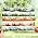 6 Rolls Mountain Landscape PET Tape for Scrapbooking
